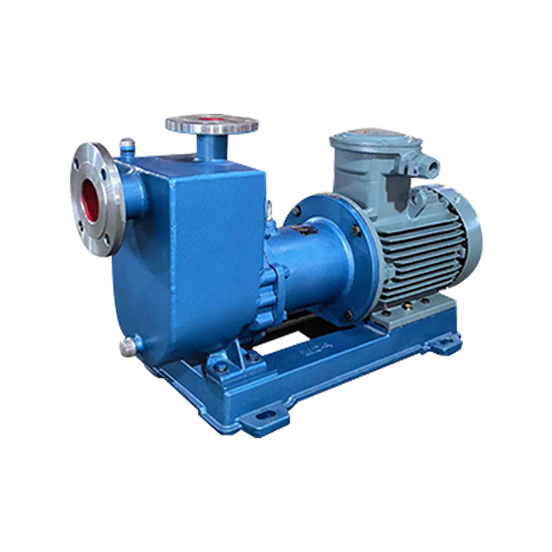 ZMC Stainless Steel Pam magnet diri